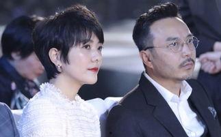 万茜自爆一年潜七次 社会热点新闻事件及点评,揭秘明星幕后生活与社会热点事件关联